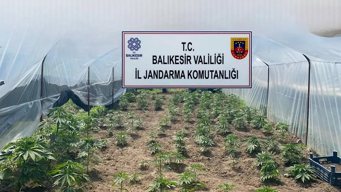 Balıkesir'de jandarmadan organize suçlara karşı geniş çaplı operasyon