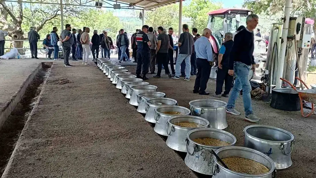 Bayramiç'te 20 bin kişinin katılımı ile 'Garipçe köy hayrı' yapıldı