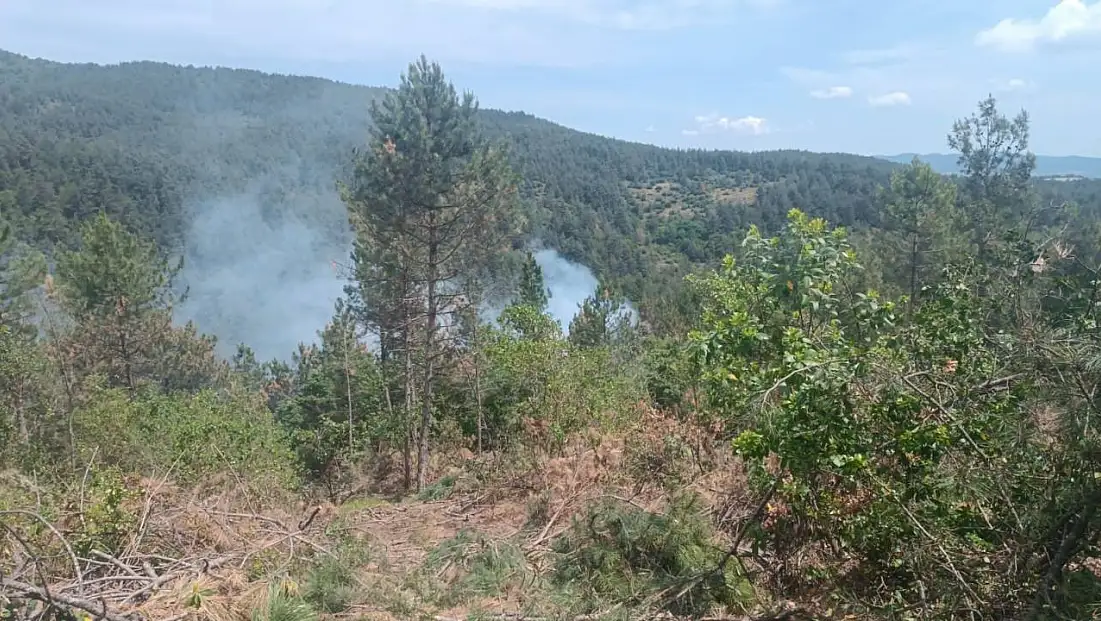 Çanakkale'de orman yangını kontrol altına alındı