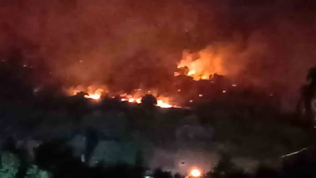 Dikili'de orman yangını: Çanakkale yolu ulaşıma kapatıldı