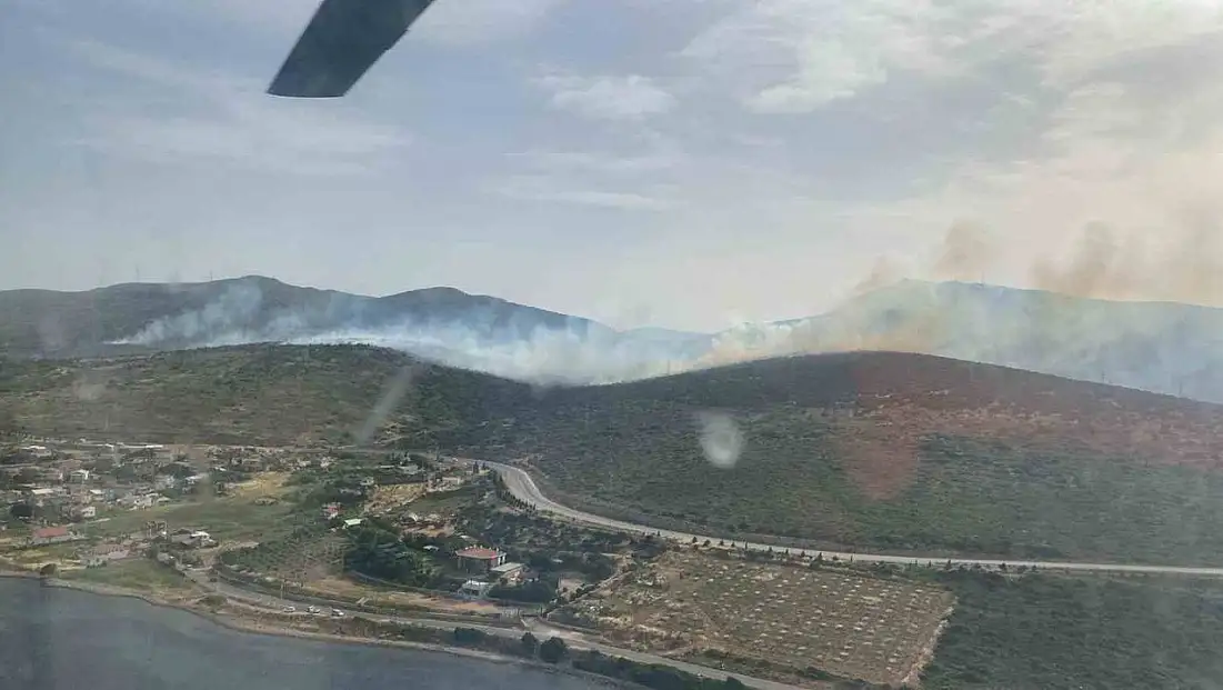 İzmir'de makilik alandaki yangına müdahale sürüyor