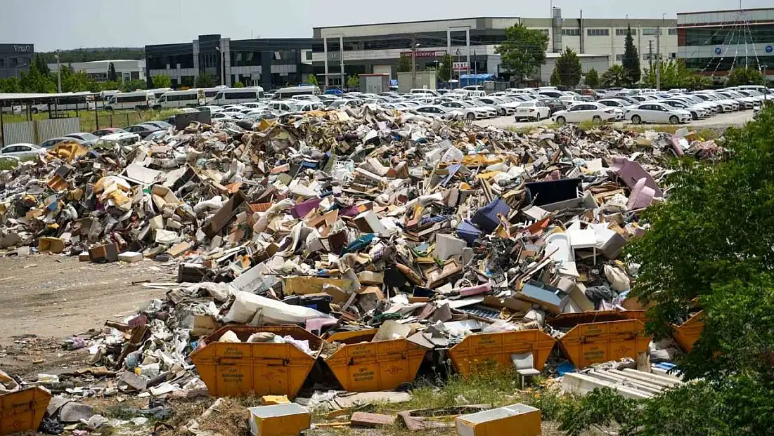 İzmir'in göbeğinde çöp alanından ürküten görüntü