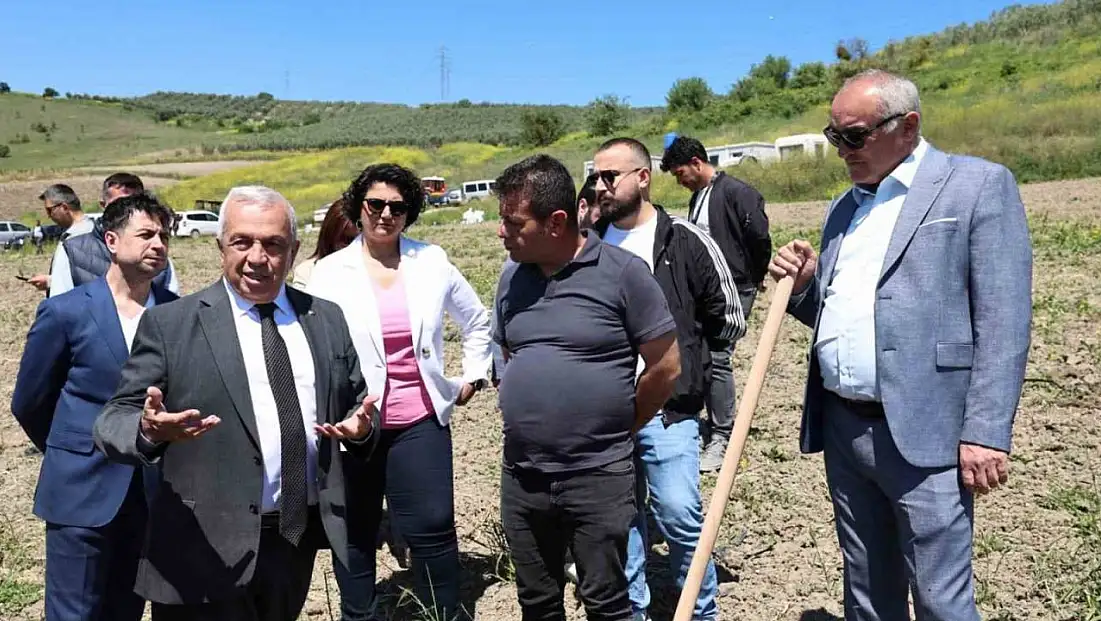 Konaklı'da 800 zeytin fidanı toprakla buluştu