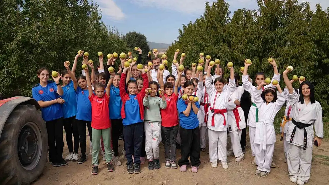 'Bizim elimiz sadece armut toplamaya kalkar'