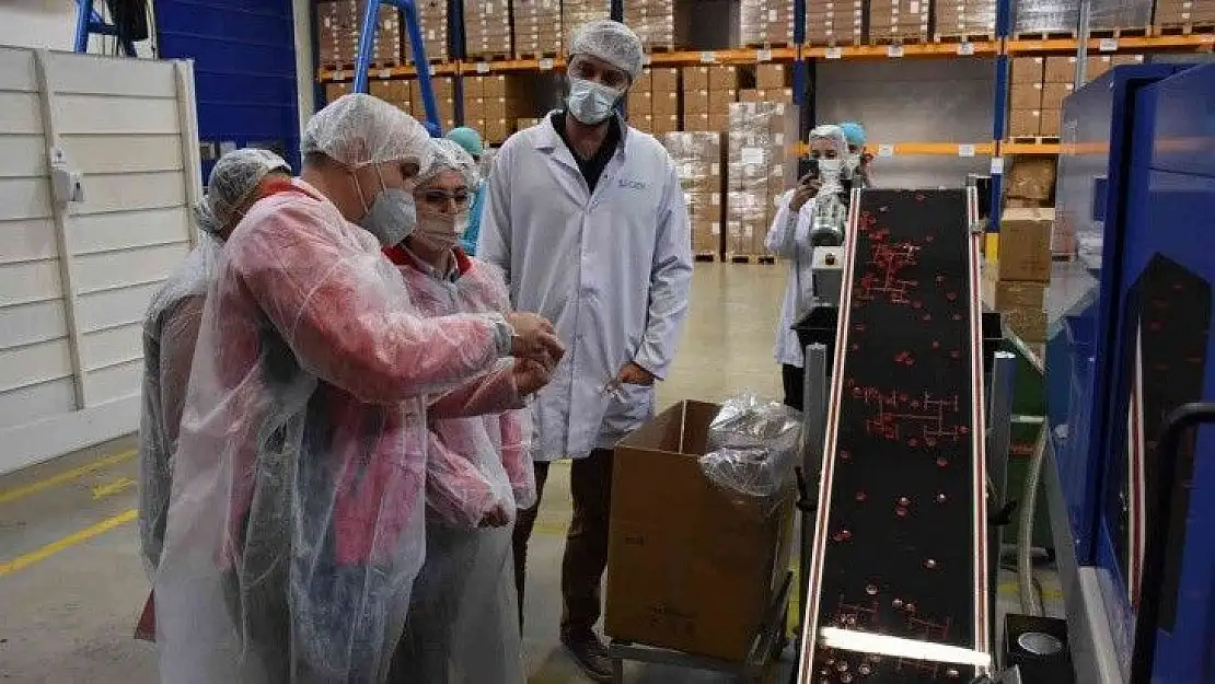 'Güvenli Gıda için denetim seferberliği' devam ediyor