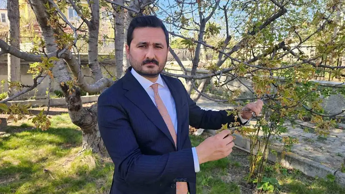 'Kraliyet kirazı' bu yıl çok az olacak
