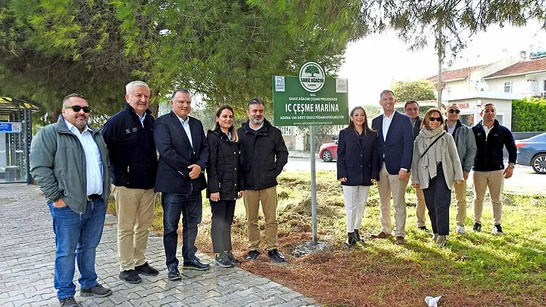 'Sakız Ağacım Çeşme' projesiyle sakız ağacı sayısı hızla artıyor