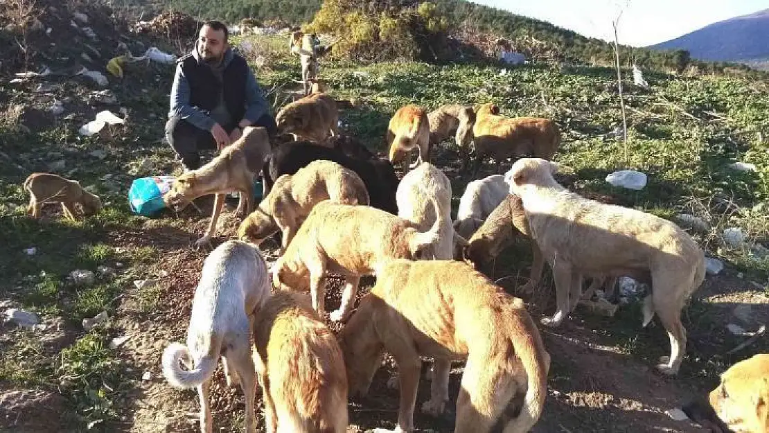 'Türkiye'nin en iyi kuaförü' sokak hayvanlarına can oluyor