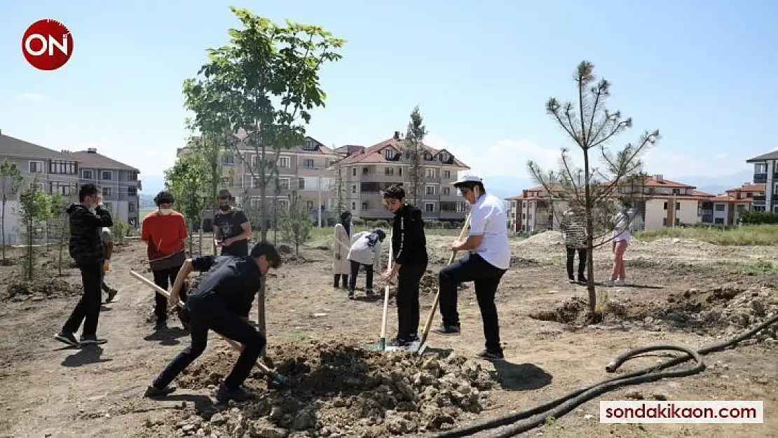 173 fidan toprakla buluştu