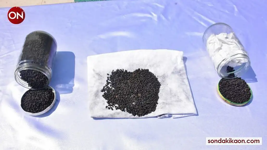 2 bin yıllık ata tohumlarını yurt dışına satmak isterken suçüstü yakalandı