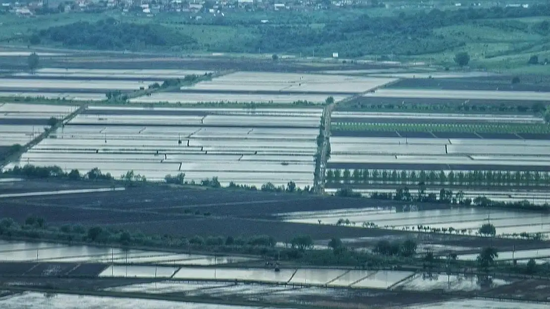 2025 sezonunda çeltik ekimine sınırlama uygulanacak