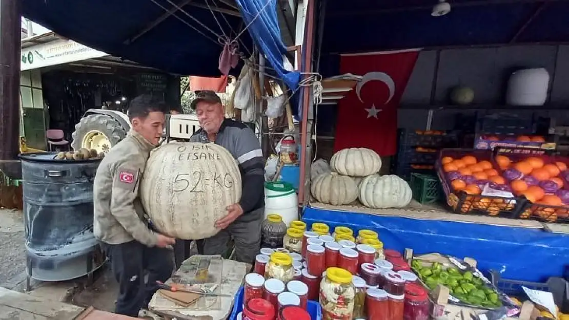 52 kiloluk dev kabak görenleri şaşırtıyor