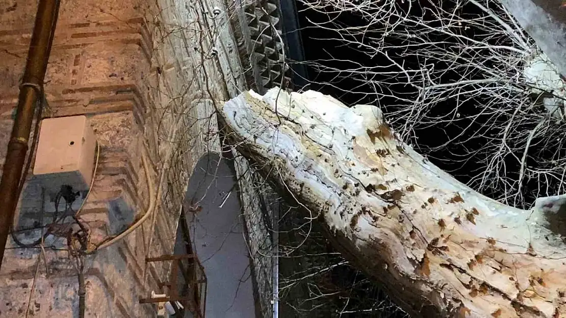 550 yıllık çınar, tarihi İshakpaşa Camii'nin üzerine devrildi