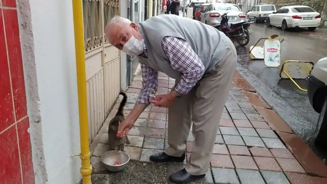 73 yaşındaki gurbetçi sokak hayvanlarını besliyor