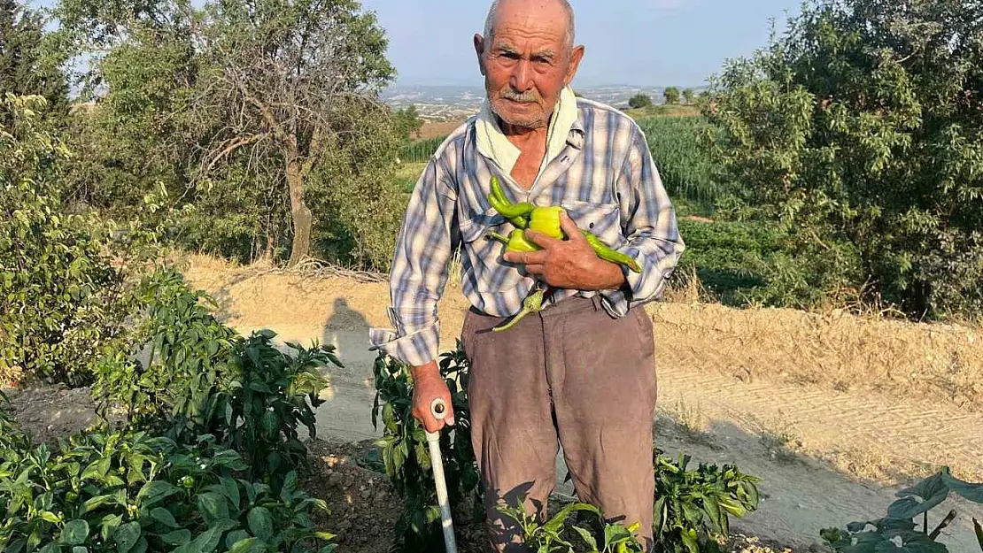 88 yaşında üretmeye devam ediyor