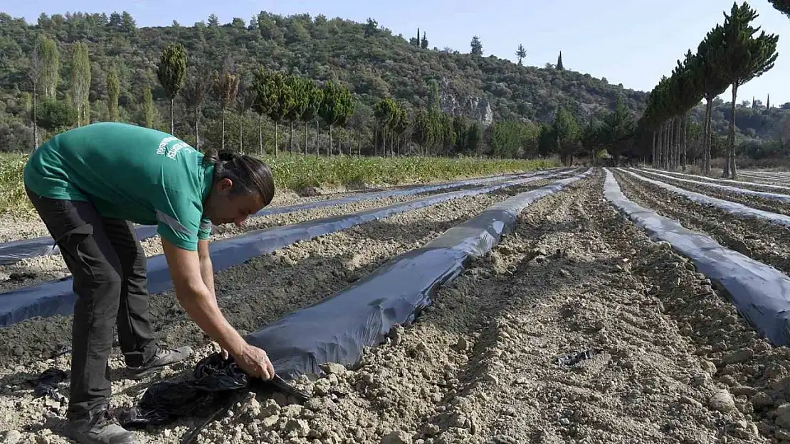 Adabahçe'de kış hazırlıkları başladı