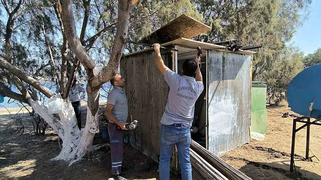 Adadaki kaçak kulübe söküldü