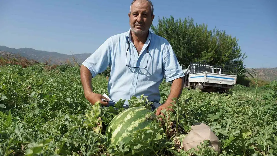 Adana'nın sıcağı Aydın'a yaradı