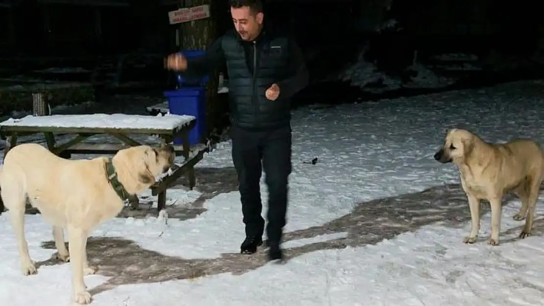 AK Gönüller sokak hayvanlarını unutmuyor