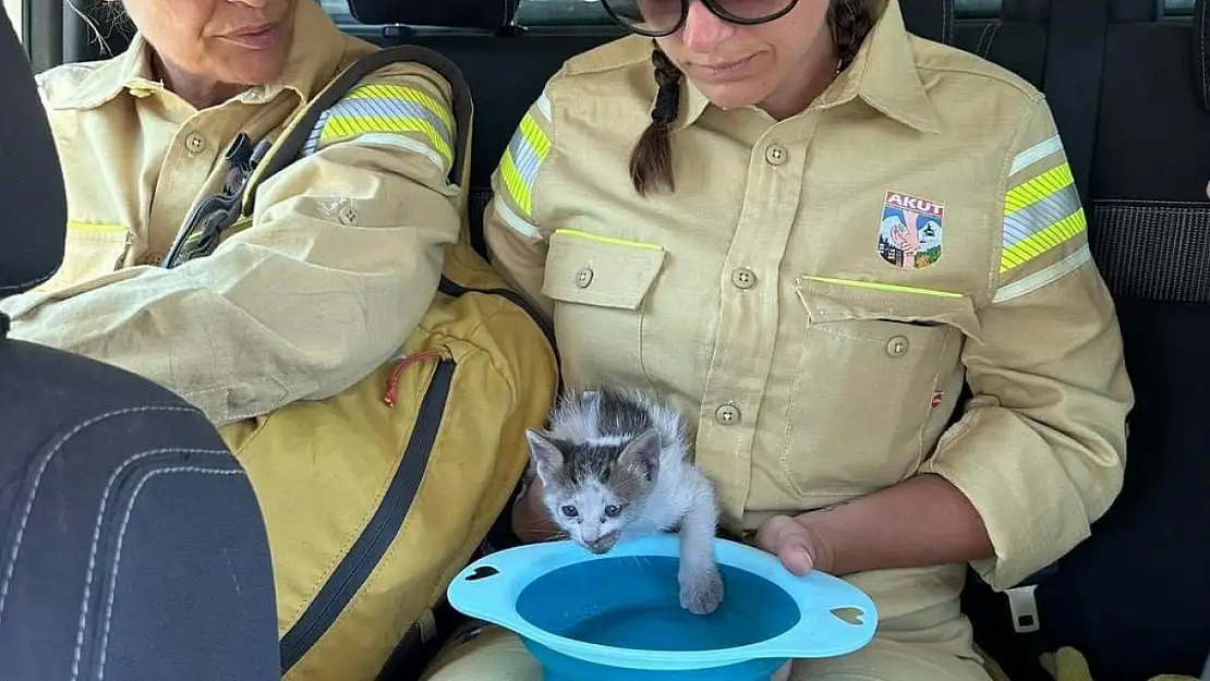 AKUT Kuşadası ekibi, orman yangının ardından hayvanlara destek sağladı