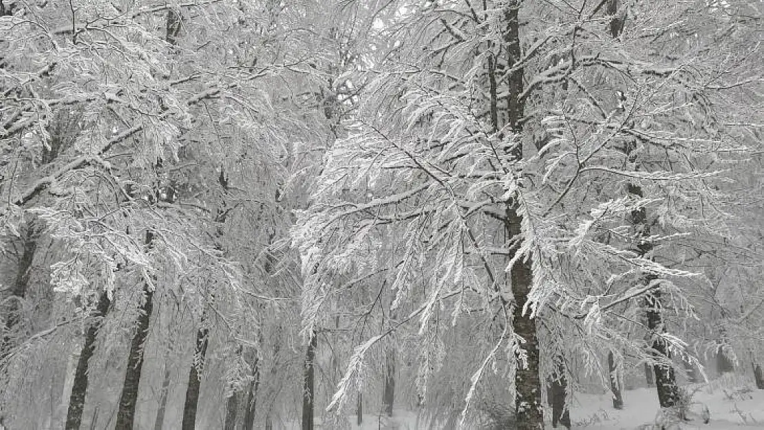 Alaçam'da kartpostallık kar manzaraları