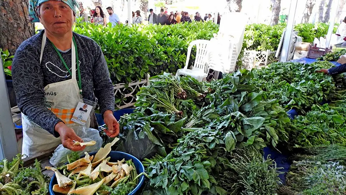 Alaçatı Ot Festivali stant başvuruları başladı