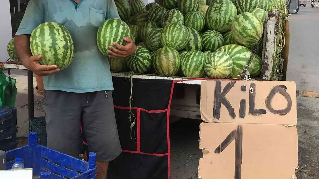 Alaşehir'de karpuzun fiyatı 1 buçuk liraya düştü