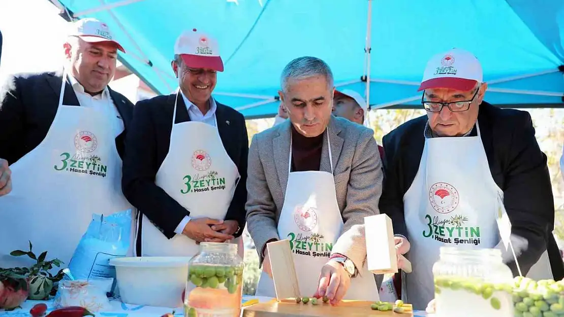 Aliağa'da '3. Zeytin Hasat Şenliği' düzenlendi