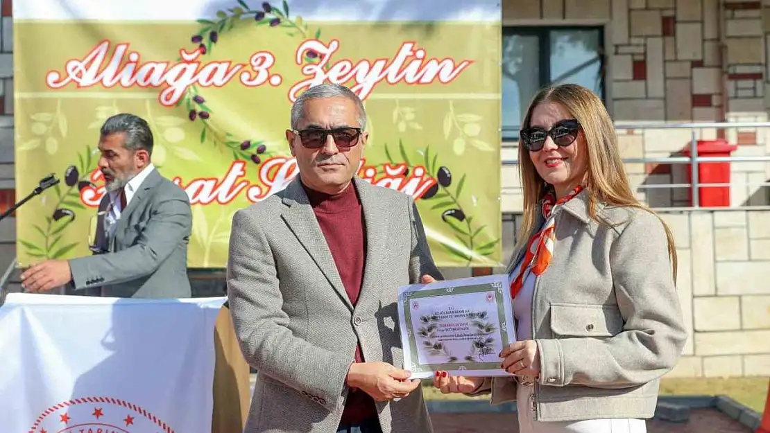 Aliağa'da 3. Zeytin Hasat Şenliği düzenlendi