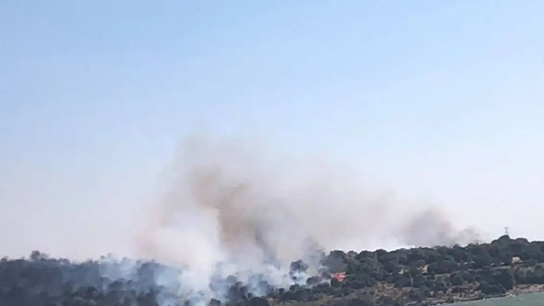 Aliağa'da makilik ve otluk alanda çıkan yangın söndürüldü