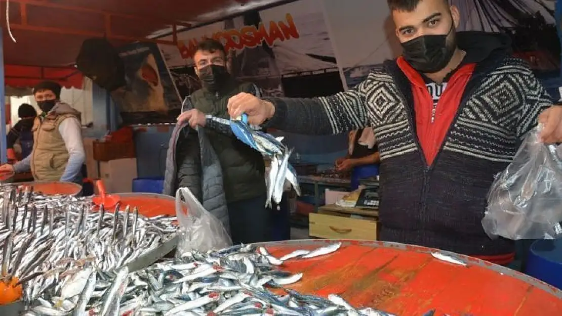Aliağa pazarında balık çeşitleri tezgahları süslüyor