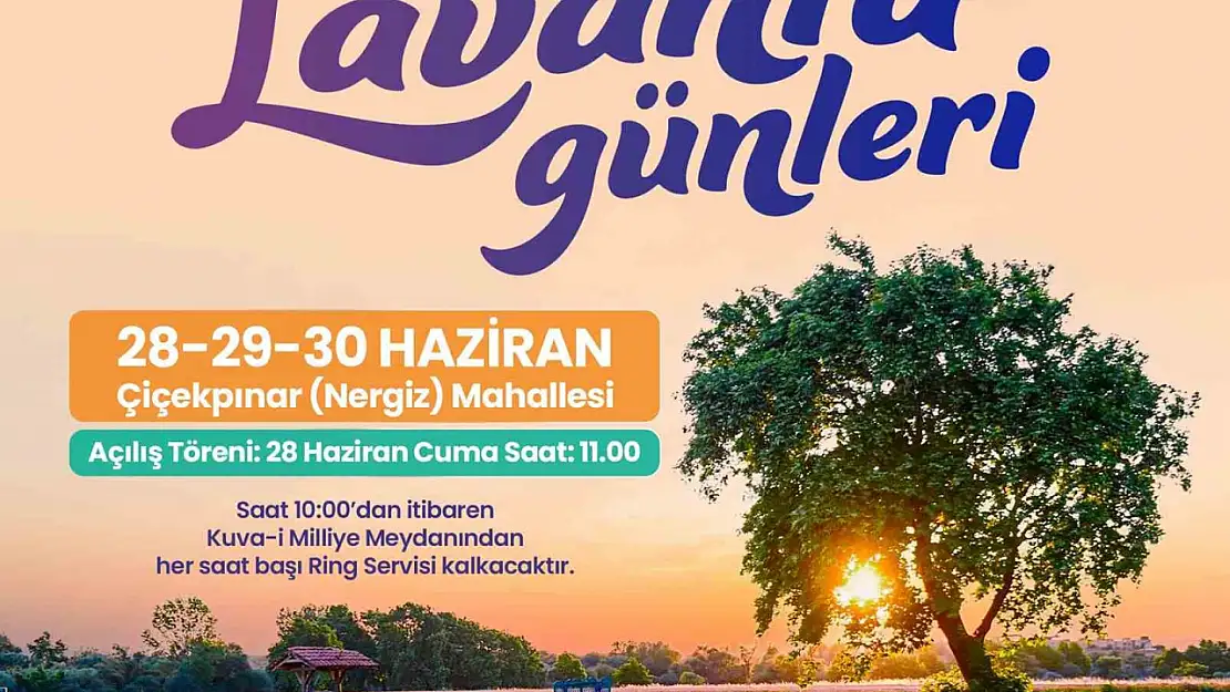 Altıeylül Belediyesi vatandaşları lavanta günlerine davet ediyor