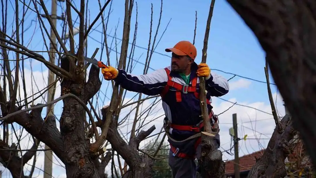 Altıeylül'de yeşil alan ve parklarda kış hazırlığı