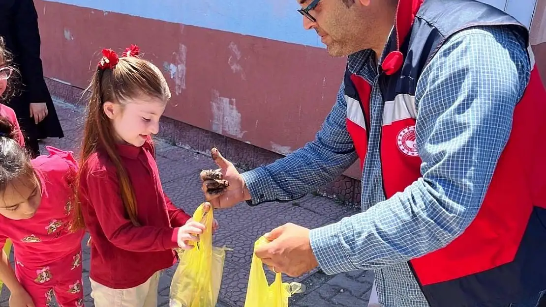 Altıntaş'ta ilkokul öğrencilerine 300 adet sebze fidesi dağıtıldı