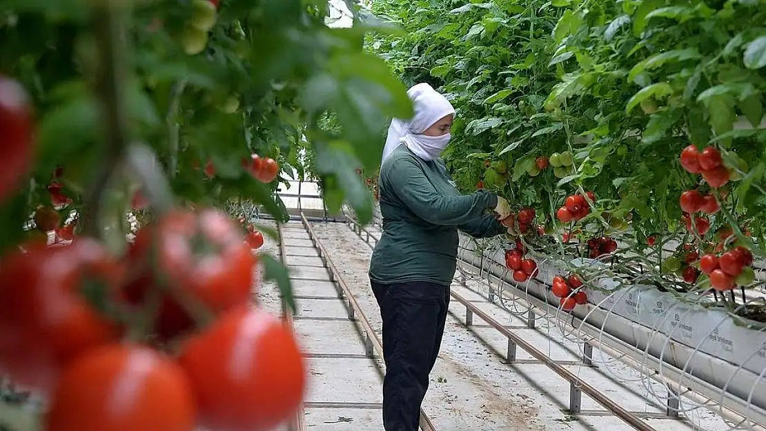 Anadolu coğrafyasının 'Beyaz Altını' jeotermal