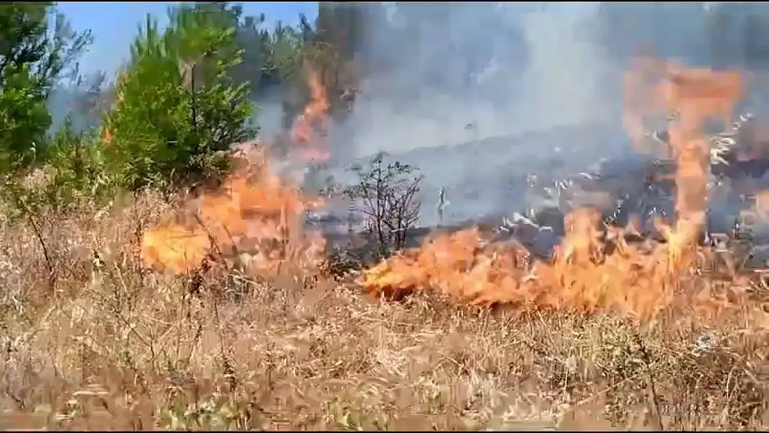 Anız yangını, ormana sıçramadan kontrol altına alındı