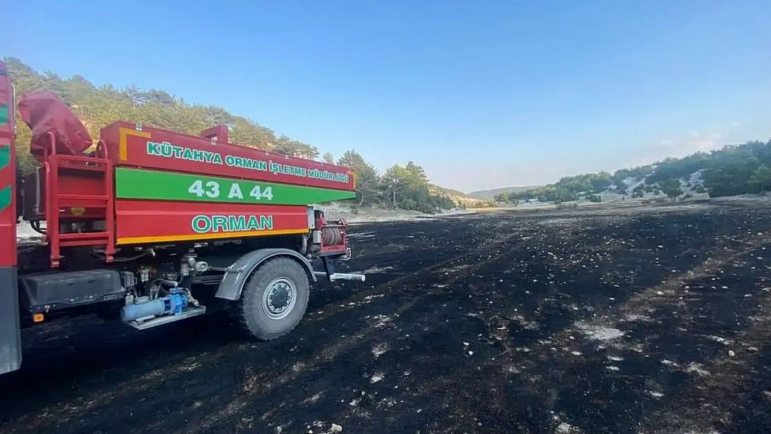 Anız yangınında tarla sahibinin gösterdiği hassasiyet orman yangınını önledi