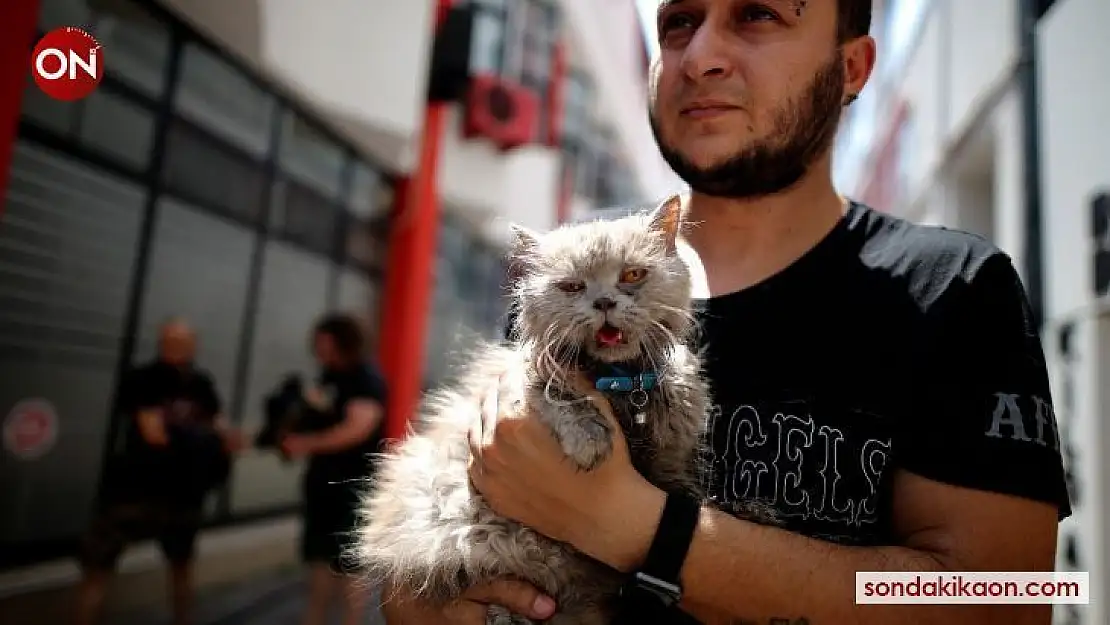Anne ve 3 yavru kedi yangından böyle kurtarıldı