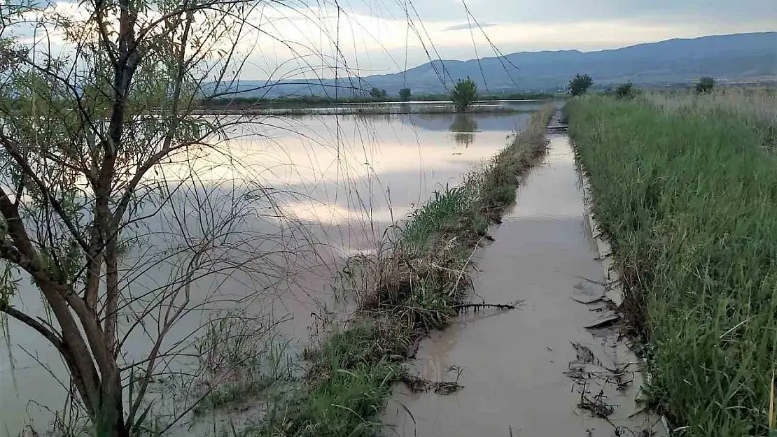 Aralıksız yağışlar tarımsal üretimi olumsuz etkiliyor