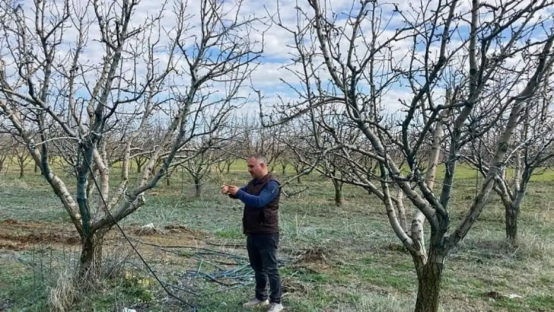 Arpa çeşitlendirme çalışmaları aralıksız sürüyor