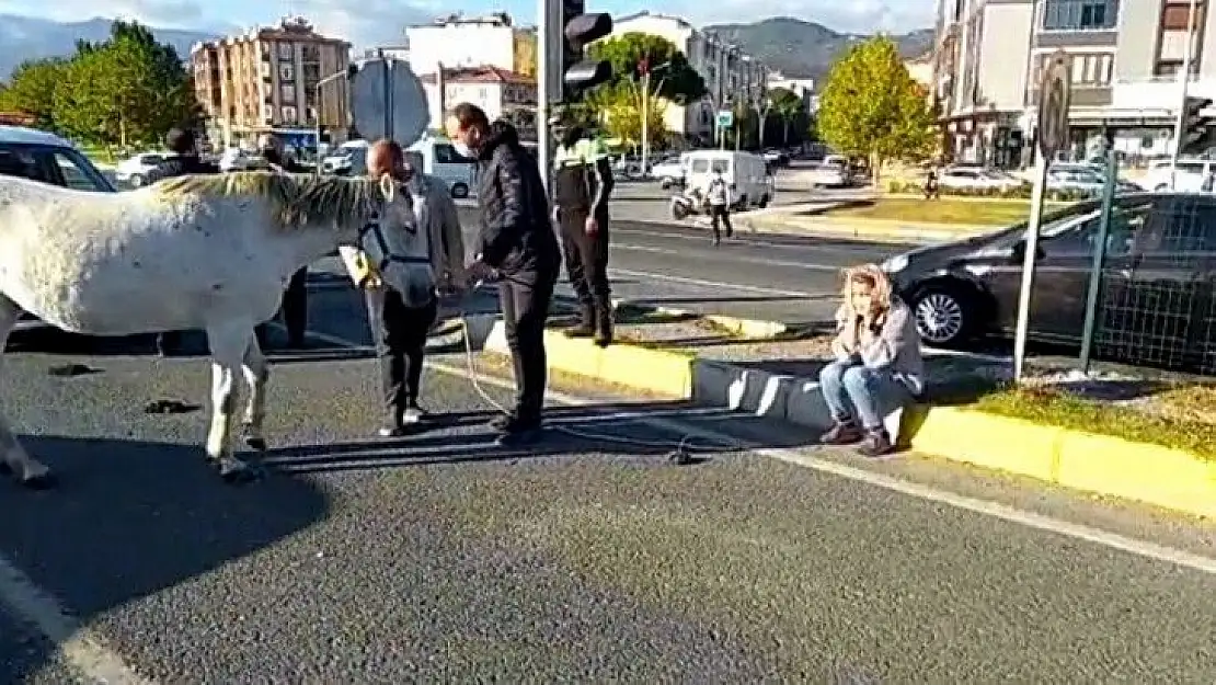Ata çarpan kadın gözyaşına boğuldu