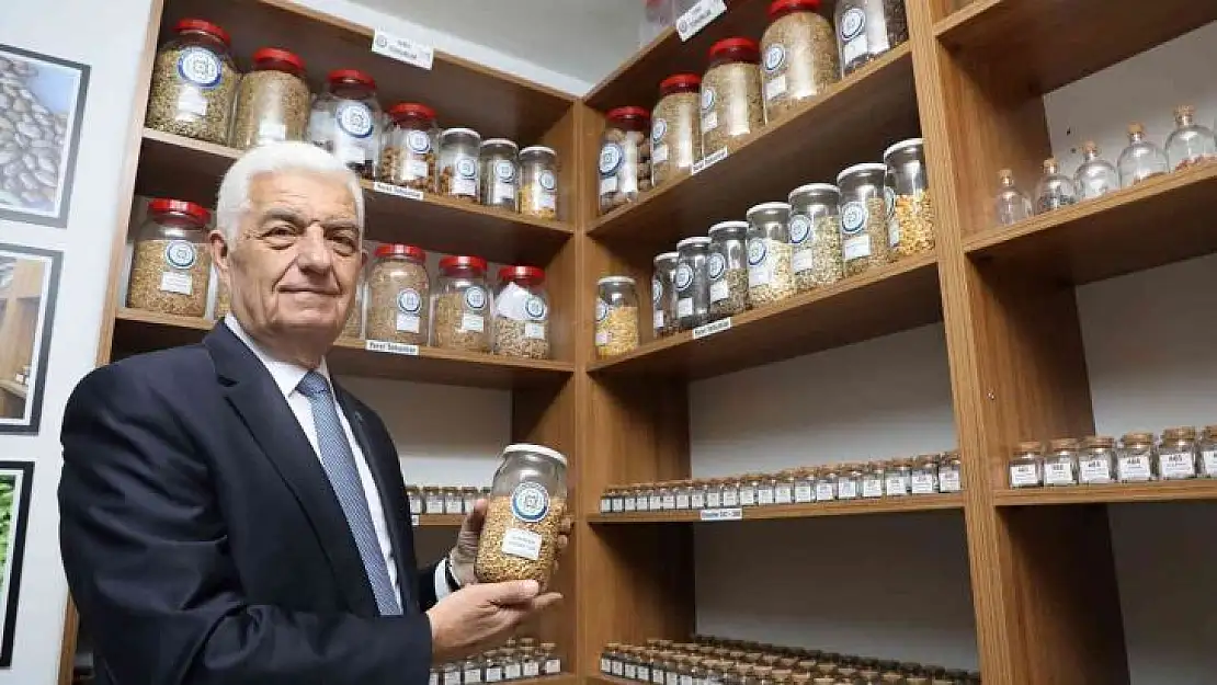Ata tohumları topraktan sofraya ulaşıyor