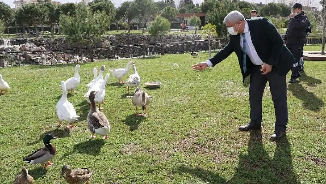 Atatürk Kent Parkı 'Kuş Cenneti'ne döndü