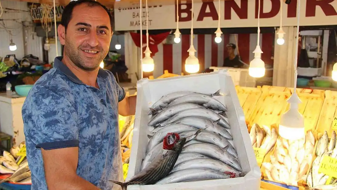 Av yasağı sona erdi, tezgahlarda palamut bollaştı