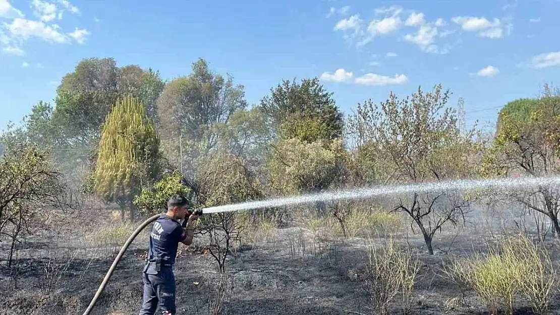 Aydın Büyükşehir Belediyesi İtfaiyesi'nden hızlı müdahale