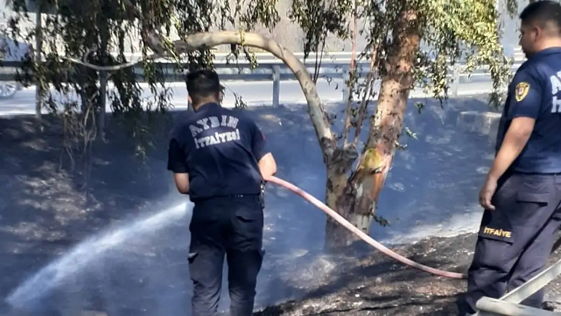 Aydın Büyükşehir Belediyesi'nin ateş savaşçıları yangından yangına koştu