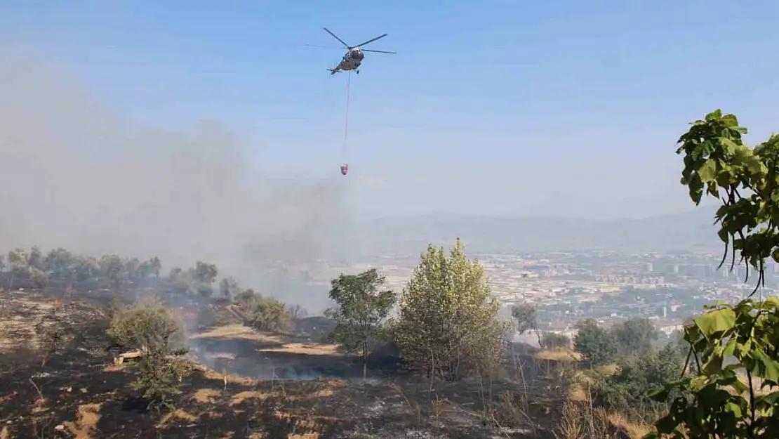 Aydın'da çıkan yangın üniversite kampüs alanına doğru ilerliyor