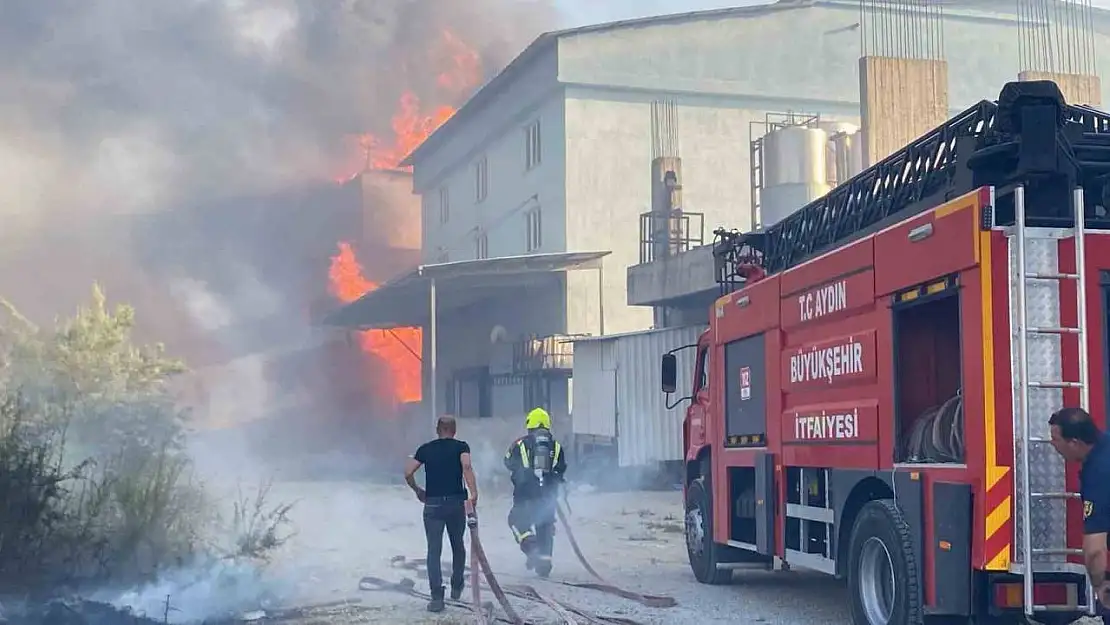 Aydın'da depo yangını