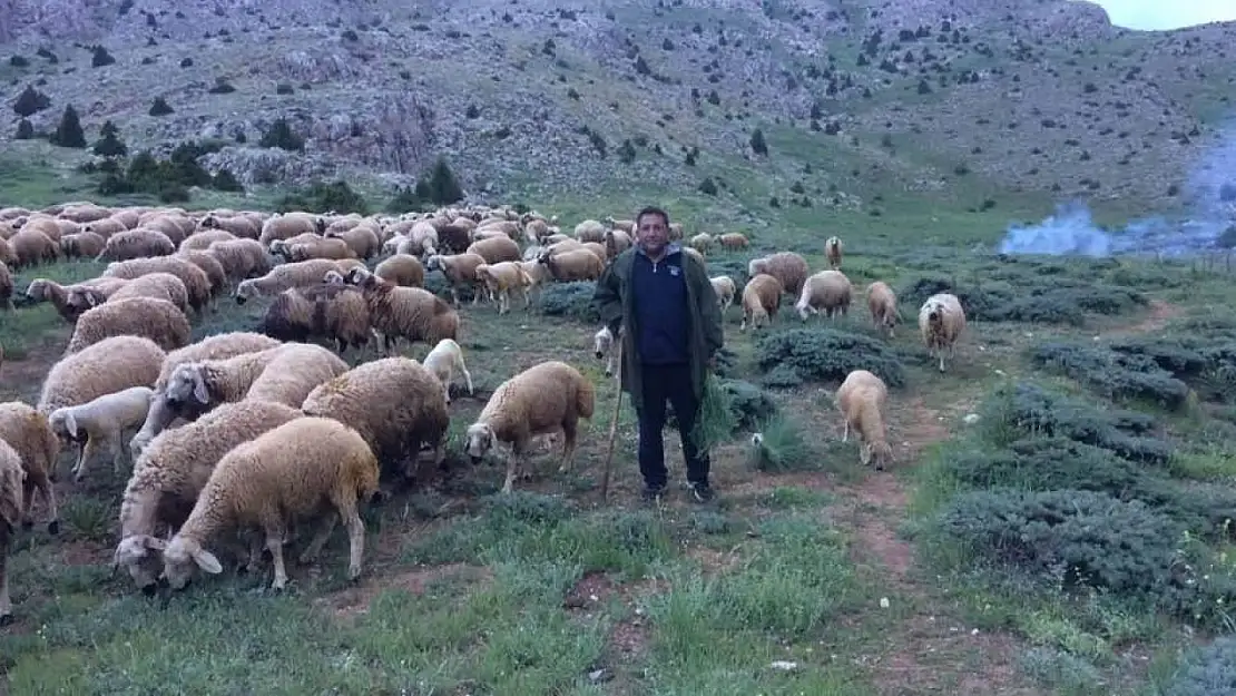 Aydın'da düzenlenen Yörük Çalıştayı'nın sonuç raporu yayınlandı