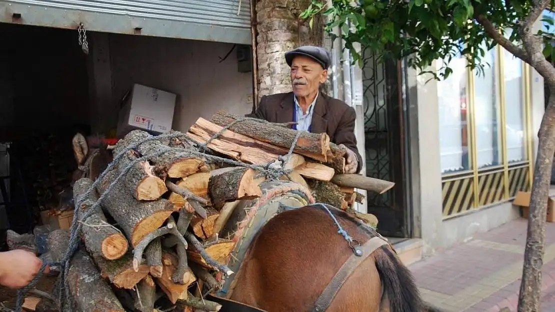 Aydın'da geleneksel kış hazırlıkları başladı